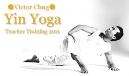 yin-yoga-top2