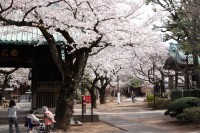 04yutenji-01