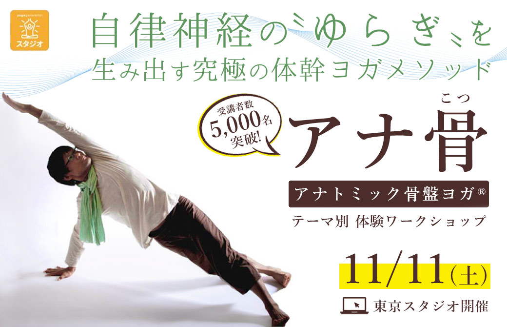 アナ骨11月11日
